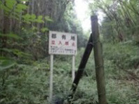 多摩ニュータウン:画像