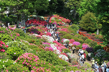 根津神社写真