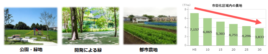 東京の緑の現状と役割