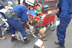 救助犬訓練４