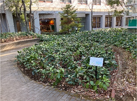 GI施設導入事例の写真3