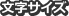 文字サイズ