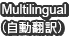 Multilingual（自動翻訳）