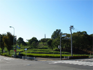 航空写真