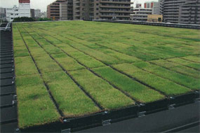 東京ガス株式会社 ＴＧ江東ビル　ビル建築に伴う緑化