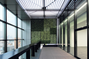 株式会社　大林組　株式会社TSIホールディングス　TS青山ビル　外壁と一体となった壁面緑化