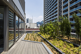 三菱地所株式会社　田町フロントビル　事務所区画のテラスを緑化